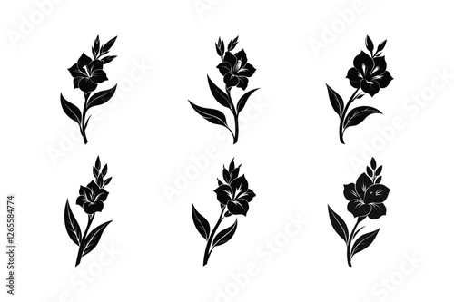 Gladiolus (Gladiolus spp.) silhouette vector illustration