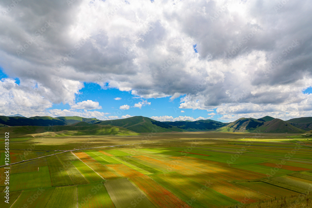 Obraz premium I colori spettacolari della fioritura dell'altipiano di Castelluccio di Norcia nel Parco Nazionale dei Monti Sibillini, Umbria, Italia