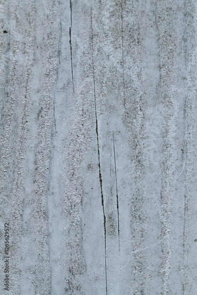 Obraz premium Wood Fence Texture