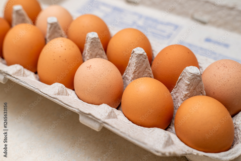 Brown range free chicken eggs in a cardboard cardboard carton Brown range free chicken eggs in a cardboard cardboard carton