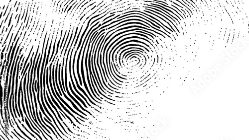Detailed fingerprint on grunge background symbolizing identity verification. Vector black fingerprint on white Transparent background.