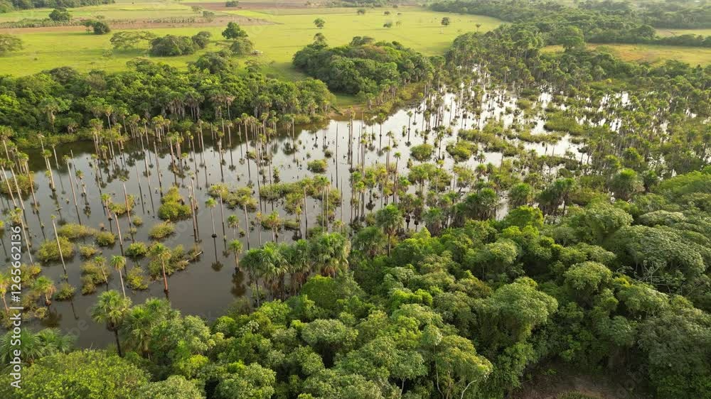 Laguna del amor 