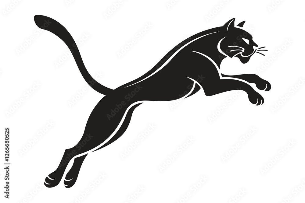 Obraz premium cat on a white background