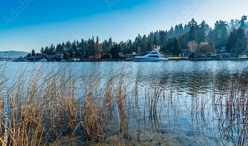 Mercer Island Shoreline 2