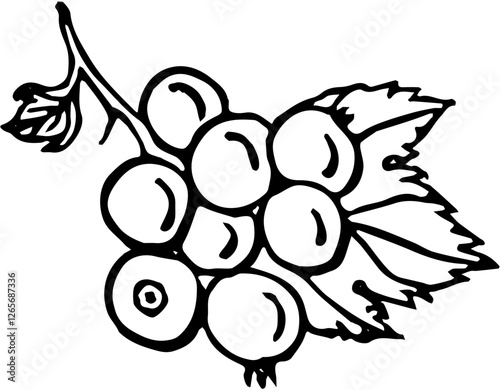 Currants