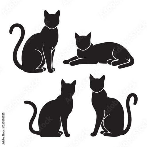 Black and white cats