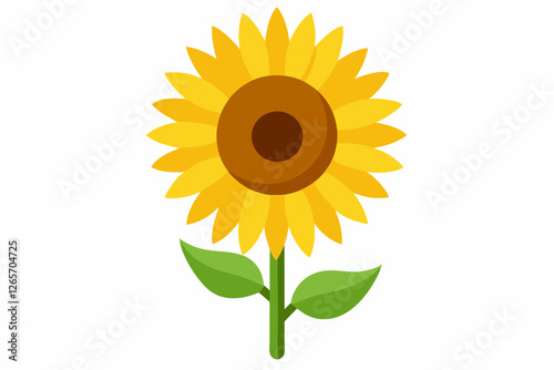 sunflower isolated on white