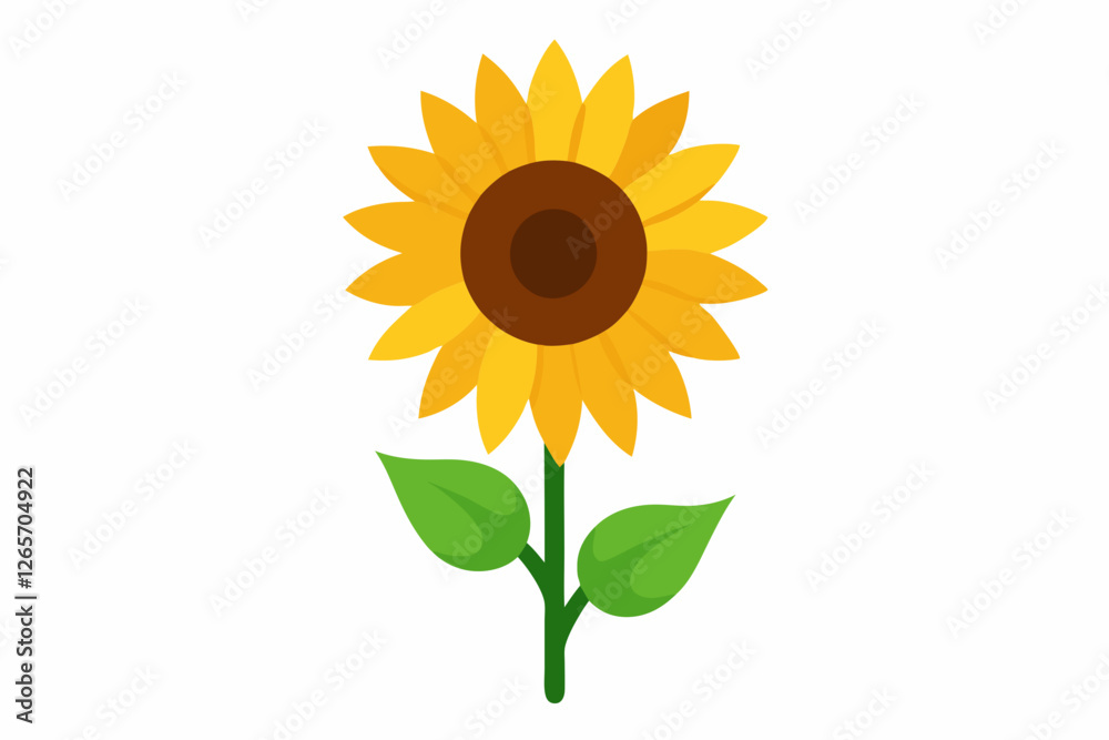 Obraz premium sunflower on white background