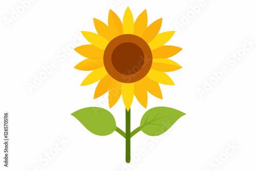 sunflower isolated on white background