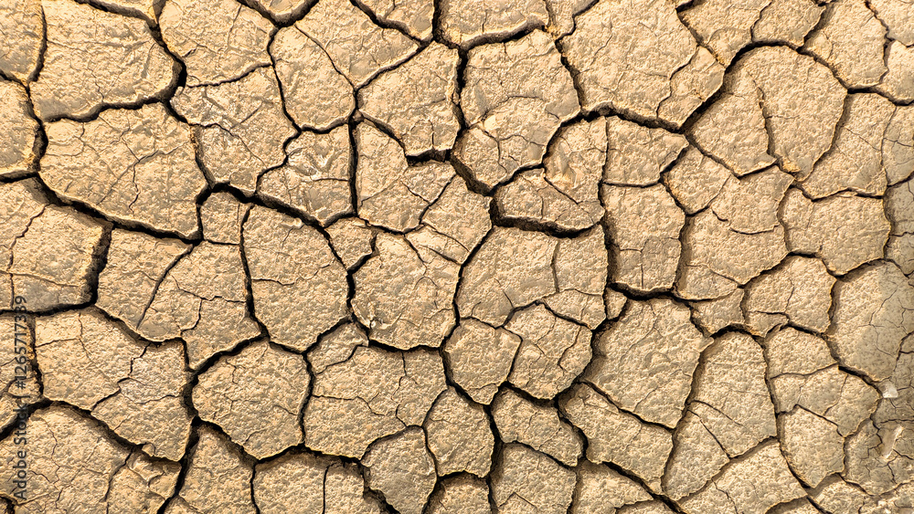 Cracked Earth Texture: An abstract texture shot of parched, cracked earth in a desert environment. The image showcases the severe drought conditions that can impact arid regions around the globe. Cracked Earth Texture: An abstract texture shot of parched, cracked earth in a desert environment. The image showcases the severe drought conditions that can impact arid regions around the globe.