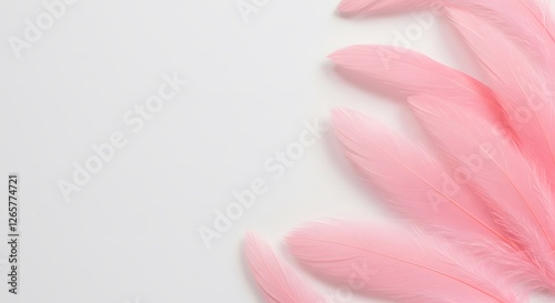 Pink feathers, white background, delicate texture, artistic arrangement, soft hues
