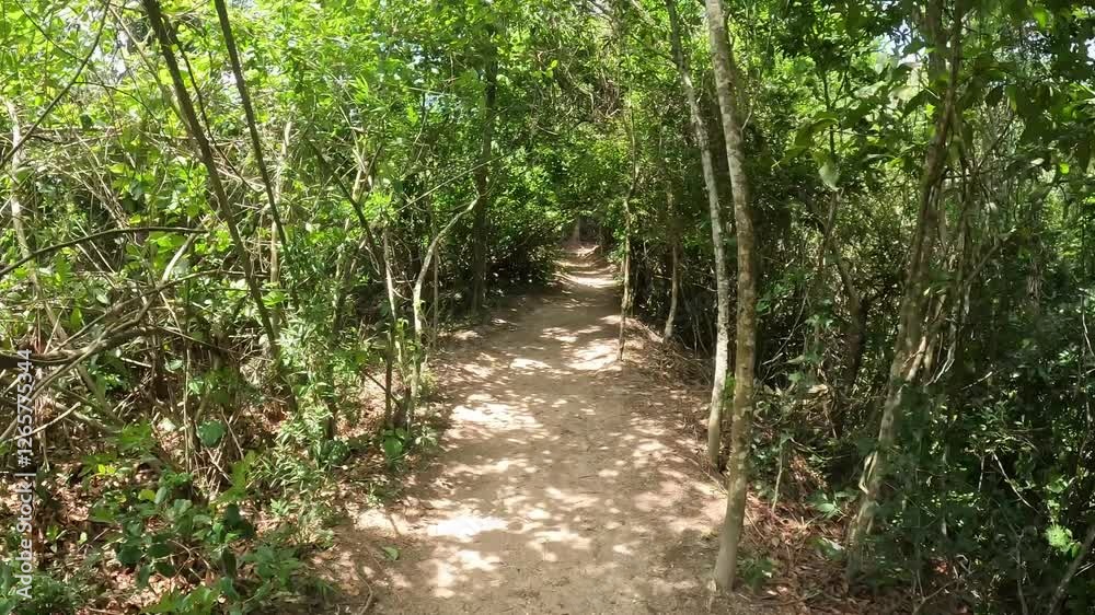 Rio de Janeiro - Rio de Janeiro - Brazil - December 14, 2024: Hiking Trail to Morro da Urca – Rio de Janeiro, Brazil. Rio de Janeiro - Rio de Janeiro - Brazil - December 14, 2024: Hiking Trail to Morro da Urca – Rio de Janeiro, Brazil.