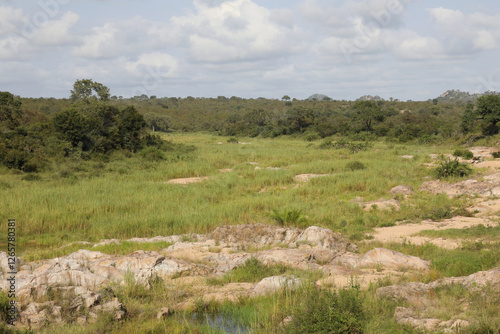 Afrikanischer Busch - Krügerpark - Biyamiti River / African Bush - Kruger Park - Biyamiti River / photo