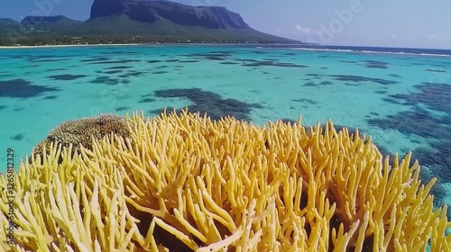 Tropical coral reef, vibrant colours, turquoise water, mountain backdrop photo