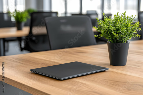 Laptop and plant sit on a table in a modern office. For technology or design