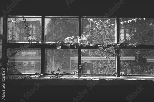 window, Filmphoto photo