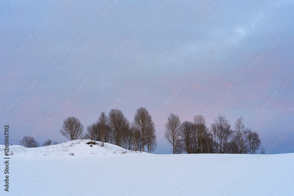 Photography from the cultural landscape of Toten, Norway, a day in February 2025. Photography from the cultural landscape of Toten, Norway, a day in February 2025.