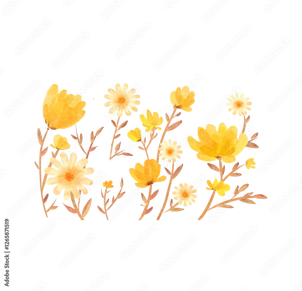Obraz premium Set watercolor elements of pink roses; collection garden flowers; leaves; branches. Botanic; illustration, eucalyptus; Wedding floral design
