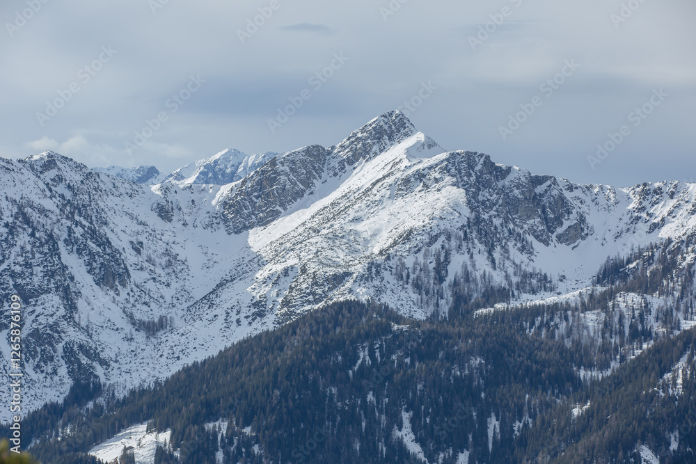 Fototapeta premium swiss alps mountains