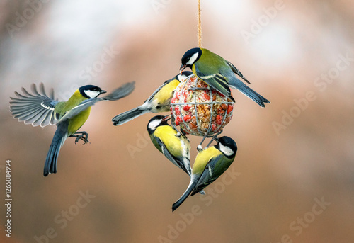 many hungry tit birds hanging on a bird feeder ball and eating seeds and nuts...