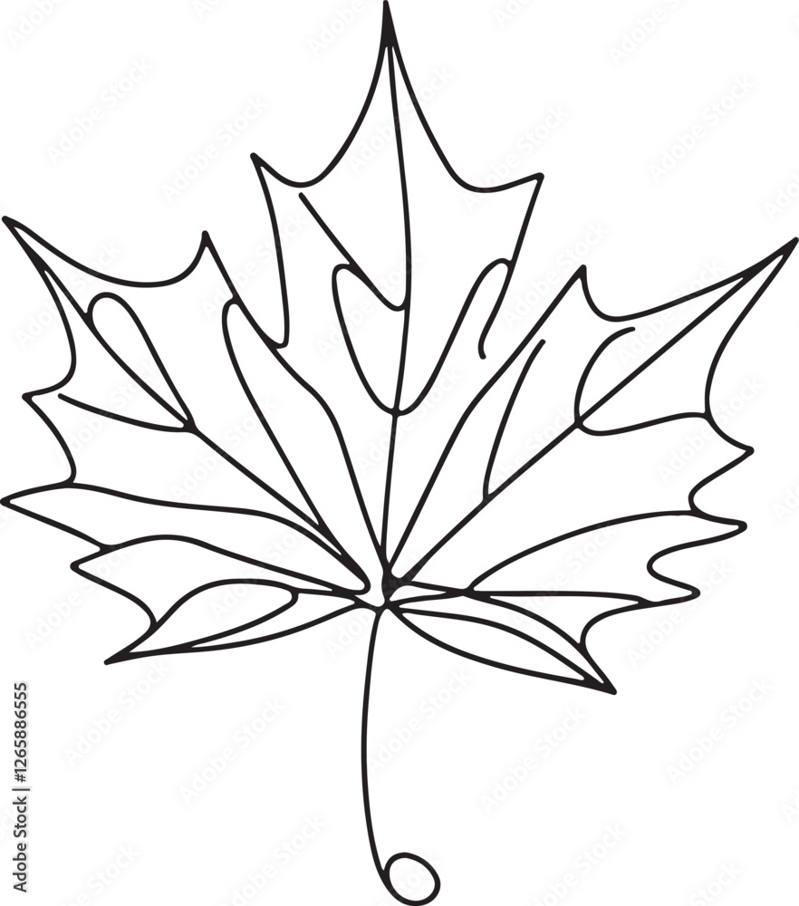 Obraz premium Minimalist Maple Leaf Vector Drawing on White Background