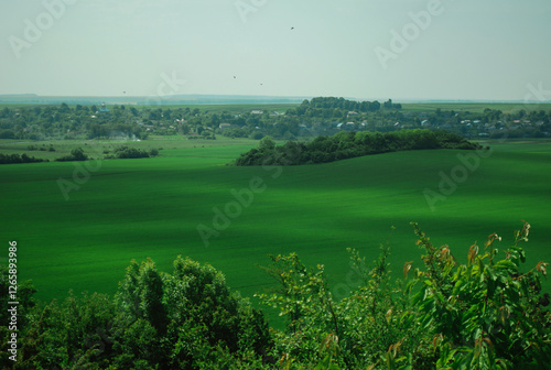Scenic view of nature reserve. Natural green background. Natural summer landscape background. Earth Day. Mindful and sustainable travel