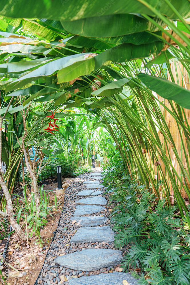 Pathway surrounded by lush green leaves plant in tropical garden Pathway surrounded by lush green leaves plant in tropical garden