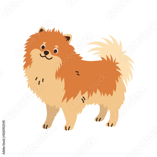 Cute spitz dog standing. Pet, breed. Isolated flat vector illustration