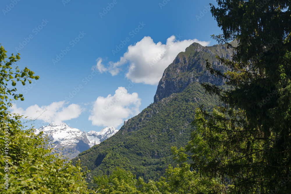 Mountain top of Bergamo alps. View from Gromo town.