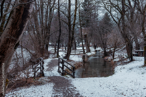 Obraz na płótnie Public park in winter in Ljubno ob Savinji village in Slovenia, path with bridges over small river covered with snow and a lot of trees w salonie