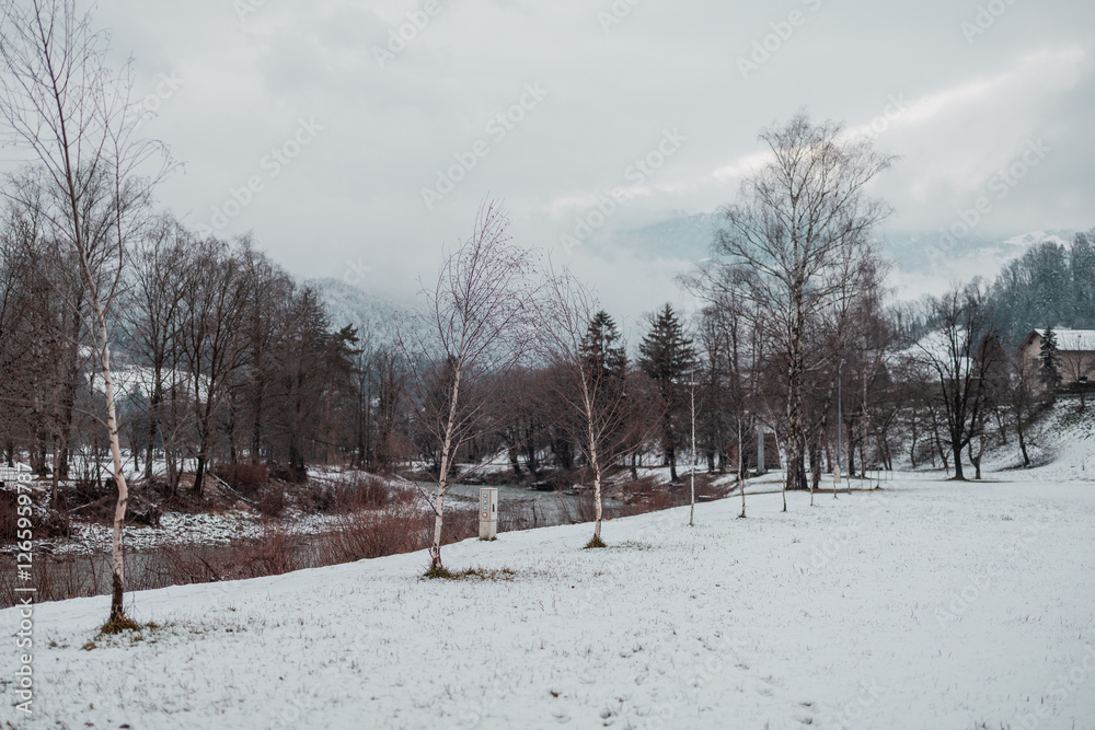 Place to camp in winter, covered in snow, at the location of Ljubno on Savinja river in Slovenia. Visible row of trees and savinja river