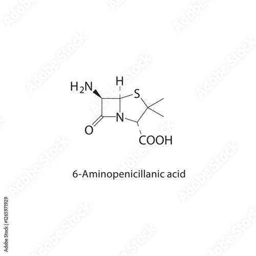 6-Aminopenicillanic acid skeletal structure.Beta-lactam antibiotic precursor compound schematic illustration. Simple diagram, chemical formula.