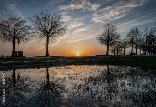 Obraz na plátně Sun and Clouds reflecting in a Puddle