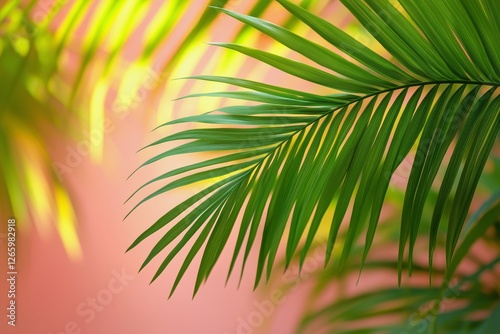 Lush tropical palm leaves gently swaying in warm sunlight against a soft past...