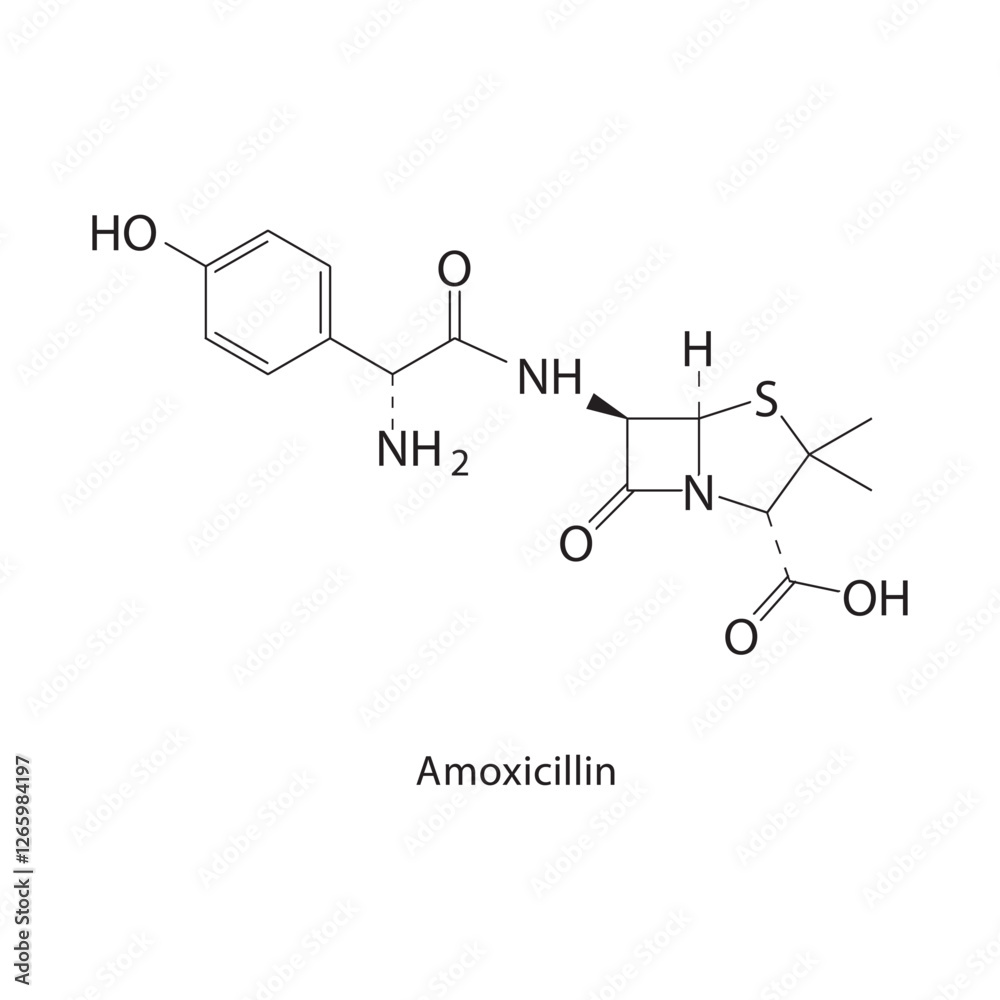 Amoxicillin skeletal structure.Beta-lactam antibiotic compound schematic illustration. Simple diagram, chemical formula. Amoxicillin skeletal structure.Beta-lactam antibiotic compound schematic illustration. Simple diagram, chemical formula.