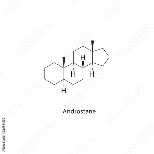 Androstane skeletal structure.Steroid compound schematic illustration. Simple diagram, chemical formula.