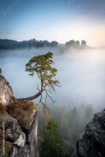 limestone mountains in the saxon switzerland in germany