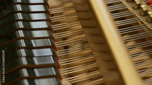 A CloseUp View of the Intricate Piano Strings and the Detailed Mechanism Inside