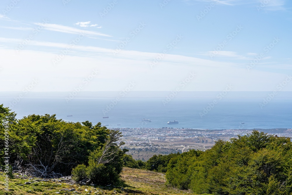 Punta Arenas coastline with lush greenery