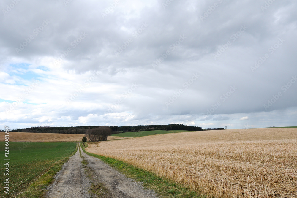 Fototapeta premium Feldlandschaft, Landschaft, Frühjahr