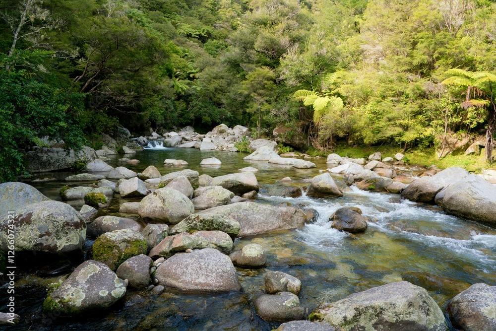 Clean Water Flow in the Rugged Wainui River During Summer – Pristine Nature Scene Clean Water Flow in the Rugged Wainui River During Summer – Pristine Nature Scene
