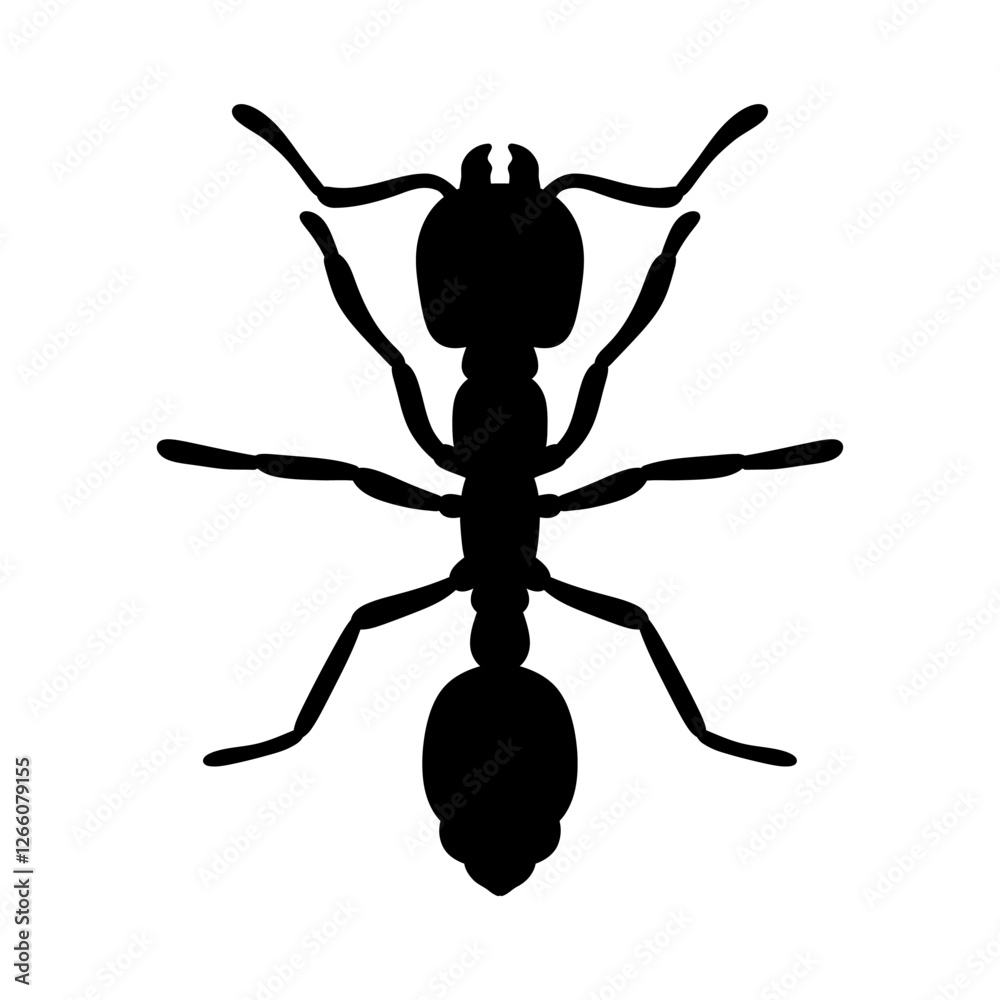 silhouette of an ant vector illustration isolated on white background silhouette of an ant vector illustration isolated on white background