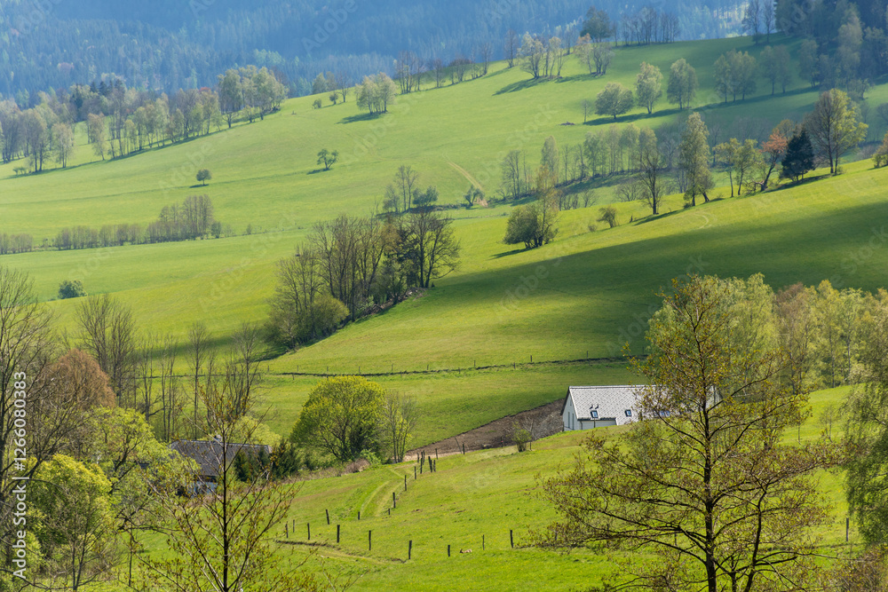Czech, masyw Śnieżnika - wiosna