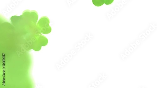 Lucky Irish four-leaf shamrock clover green leaves flying on white background.St. Patrick's Day banner with space for text. Looped holiday animation,4K