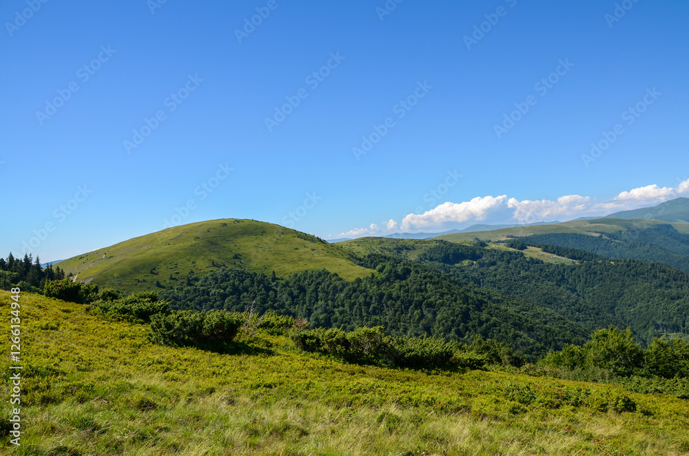 Fototapeta premium Picturesque landscape featuring verdant hills covered in dense forest beneath a clear, vivid blue sky, evoking serenity and natural beauty. Carpathian Mountains, Ukraine 
