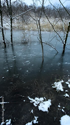 Frozen lake in the woodalnds at winter evening , snow covered trees , trees grew up through the water. Ice on water. Winter video landscapes