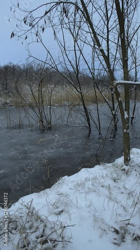 Frozen lake in the woodalnds at winter evening , snow covered trees , trees grew up through the water. Ice on water. Winter video landscapes
