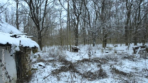 Frozen lake in the woodalnds at winter evening , snow covered trees , trees grew up through the water. Ice on water. Winter video landscapes