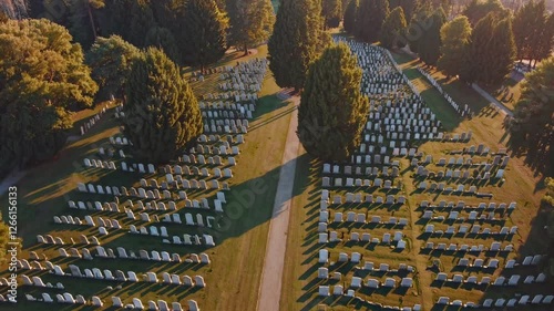 Slow Motion Aerial View of a Cemetery – Rows of Tombstones Aligned in a Serene Landscape, Soft Shadows Cast by Trees, Mist Gently Rising in the Distance, Peaceful and Reflective Atmosphere, Tranquil