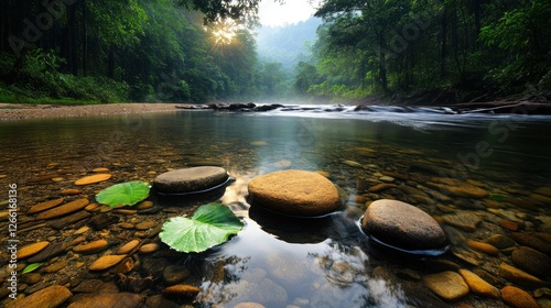 Crystal clear river flowing through misty jungle photo